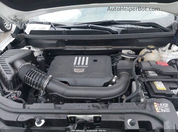1GYKNDR48PZ202205 2023 CADILLAC XT5 White Widok z tyłu