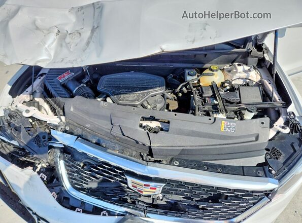 1GYKPCRS7MZ121453 2021 CADILLAC OTHER White Սալոնի հետևի տեսք