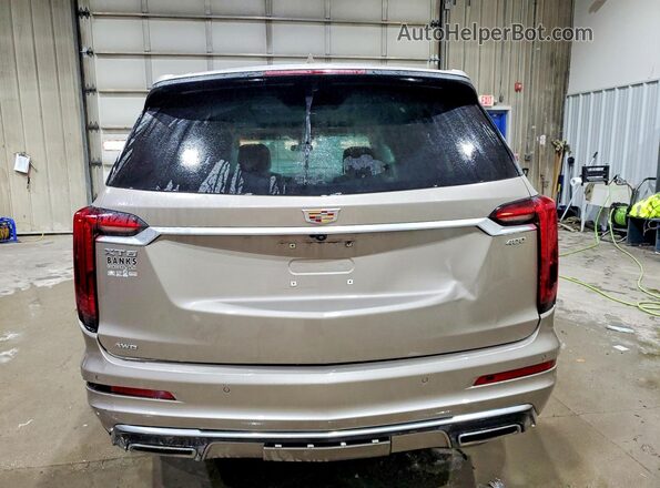 1GYKPDRS3PZ112825 2023 CADILLAC OTHER Желто-коричневый Вид сзади