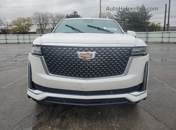 1GYS3BKL6PR381159 2023 CADILLAC ESCALADE Белый Вид спереди