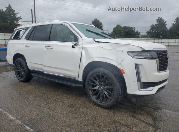 1GYS3BKL6PR381159 2023 CADILLAC ESCALADE Белый Передняя правая четверть