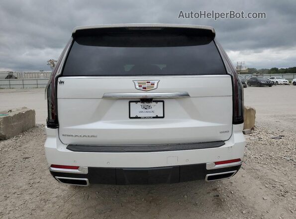 1GYS9CRL5SR110709 2025 CADILLAC ESCALADE Белый Вид сзади