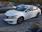 2016 Honda Accord Lx Белый vin: 1HGCR2F34GA093157