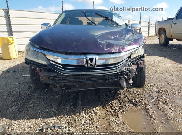 1HGCR2F36GA243463 2016 HONDA ACCORD Фиолетовый Вид спереди