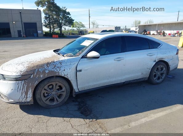 1HGCY1F39RA044634 2024 HONDA ACCORD White Դիմացի տեսք
