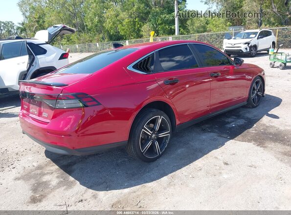 1HGCY2F58RA034264 2024 HONDA ACCORD HYBRID Red უკანა მარჯვენა