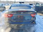 2017 Niss Maxima Platinum Черный vin: 1N4AA6AP0HC383891