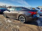 2016 Nissan Maxima 3.5s Brown vin: 1N4AA6AP2GC381297
