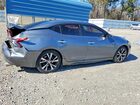 2016 Nissan Maxima 3.5 S Gray vin: 1N4AA6AP2GC905662