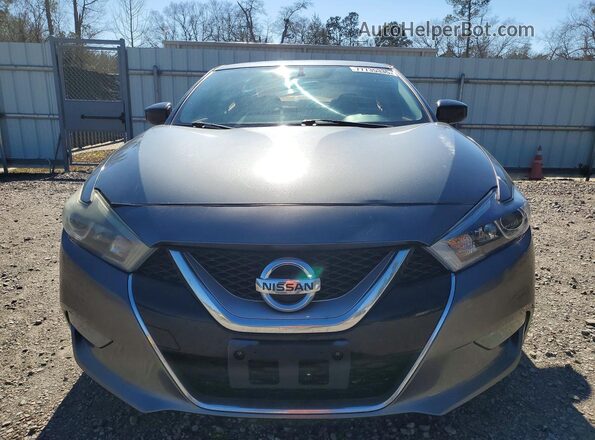 1N4AA6AP2GC905662 2016 NISSAN MAXIMA Gray Widok z przodu