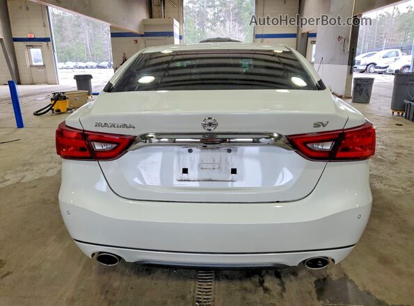 1N4AA6AP3GC375590 2016 NISSAN MAXIMA White უკანა ხედი