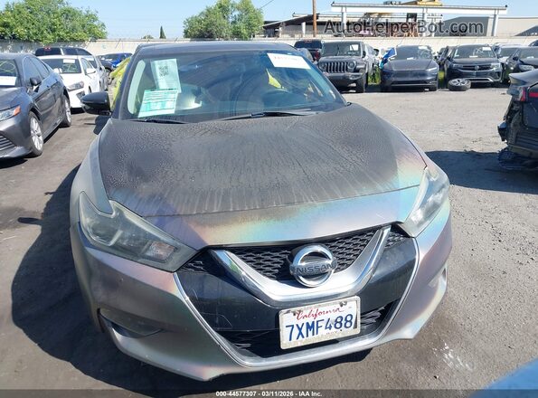 1N4AA6AP3GC907159 2016 NISSAN MAXIMA Gray უკანა სალონის ხედი