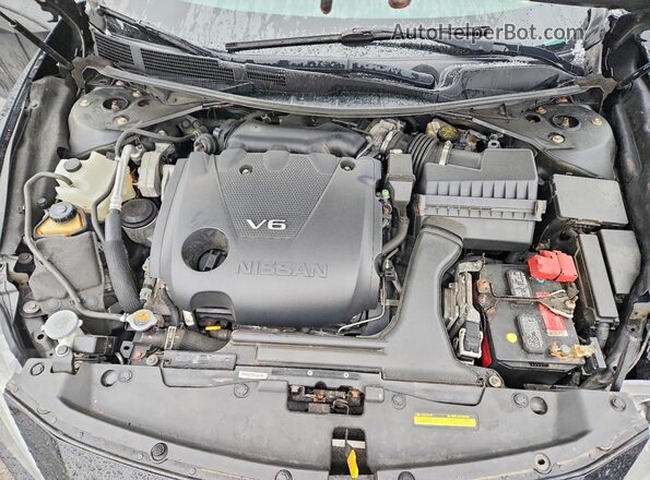 1N4AA6AP4HC413376 2017 NISSAN MAXIMA PLATINUM Черный Вид задней части салона