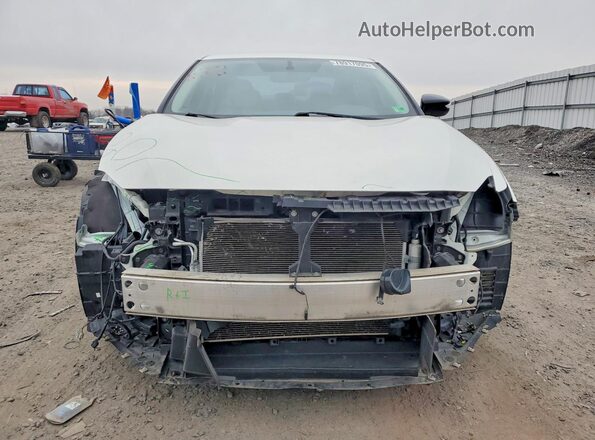 1N4AA6AP5GC415667 2016 NISSAN MAXIMA White Widok z przodu