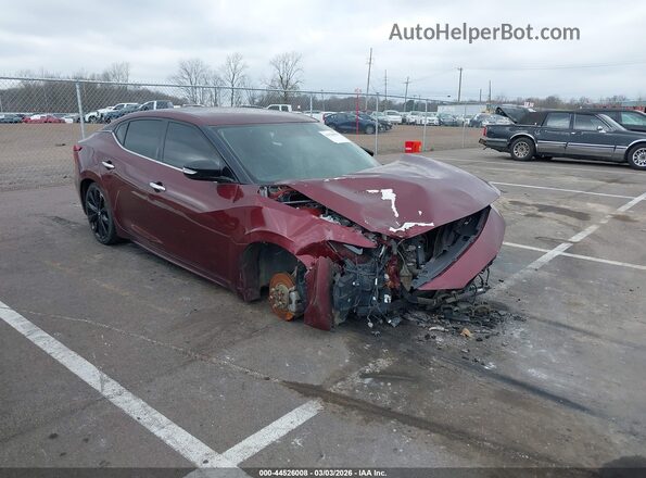 1N4AA6AP5GC426345 2016 NISSAN MAXIMA Бордовый Передняя правая четверть