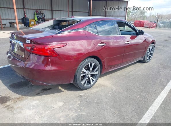 1N4AA6AP5HC430428 2017 NISSAN MAXIMA Maroon Tył prawy