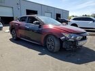 2017 Nissan Maxima Platinum Бордовый vin: 1N4AA6AP6HC385340