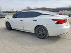 2017 Nissan Maxima Platinum Белый vin: 1N4AA6AP6HC439008