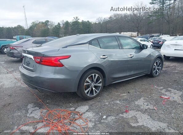 1N4AA6AP7GC439226 2016 NISSAN MAXIMA Gray Tył prawy