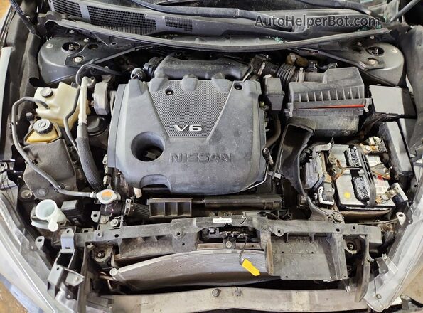 1N4AA6AP7HC375173 2017 NISSAN MAXIMA PLATINUM Black უკანა სალონის ხედი