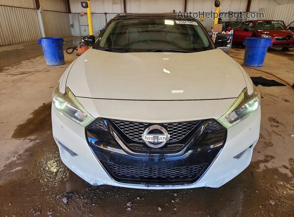 1N4AA6AP7HC394533 2017 NISSAN MAXIMA PLATINUM White Widok z przodu