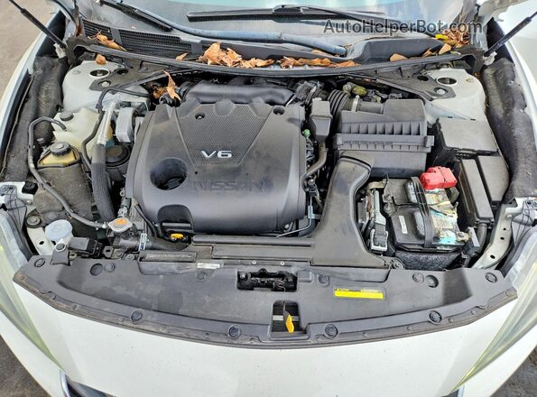 1N4AA6AP7HC451524 2017 NISSAN MAXIMA PLATINUM White Widok wnętrza z tyłu