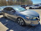 2017 Nissan Maxima Platinum Gray vin: 1N4AA6AP9HC407783