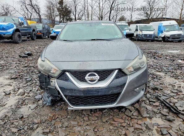 1N4AA6APXHC430523 2017 NISSAN MAXIMA Серый Вид спереди
