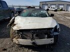 2018 Nissan Maxima Platinum White vin: 1N4AA6APXJC396265