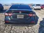 2019 Niss Maxima Black vin: 1N4AA6AV1KC377555