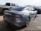 2019 Nissan Maxima 3.5 Sv Gray vin: 1N4AA6AV4KC376934