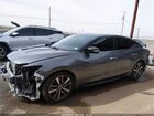 2019 Nissan Maxima 3.5 Sv Gray vin: 1N4AA6AV4KC376934