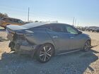 2019 Nissan Maxima S Gray vin: 1N4AA6AV5KC366350