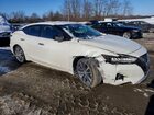 2019 Nissan Maxima S Белый vin: 1N4AA6AV8KC372899
