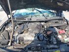 2019 Nissan Maxima 3.5 Platinum Серый vin: 1N4AA6AV9KC374936