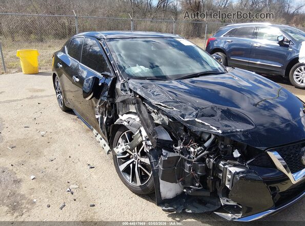1N4AA6CV1PC503904 2023 NISSAN MAXIMA Black Vista frontal
