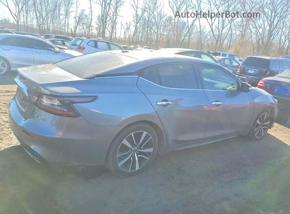 1N4AA6CV1PC510433 2023 NISSAN MAXIMA Серый Задняя правая четверть