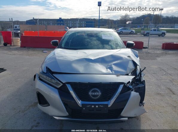 1N4AA6CV1PC513008 2023 NISSAN MAXIMA Серый Вид задней части салона