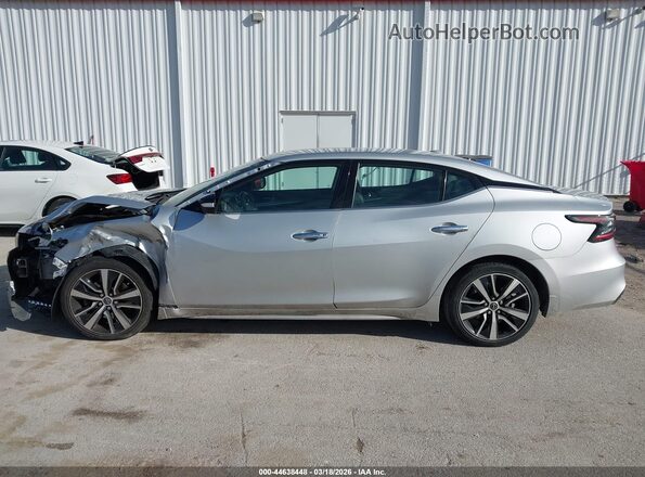 1N4AA6CV1PC513008 2023 NISSAN MAXIMA Серый 