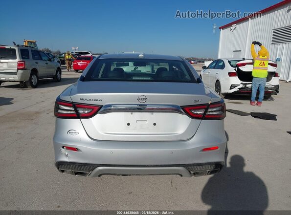 1N4AA6CV1PC513008 2023 NISSAN MAXIMA Серый 