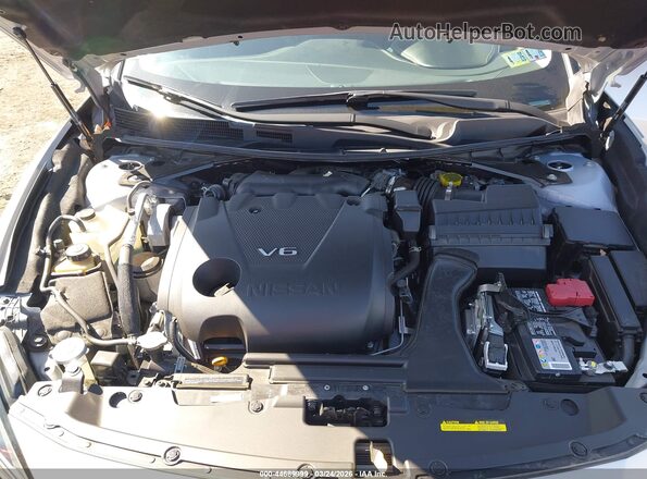 1N4AA6CV6PC505602 2023 NISSAN MAXIMA Серебряный Вид сзади