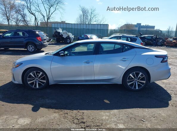 1N4AA6CV6PC505602 2023 NISSAN MAXIMA Серебряный Вид задней части салона