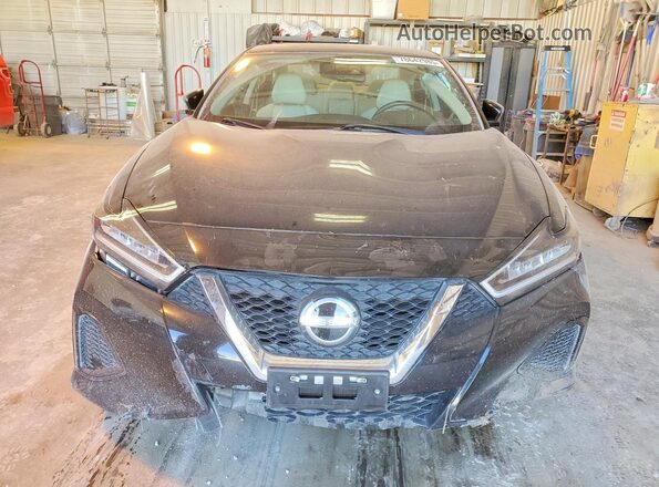 1N4AA6CV9PC511541 2023 NISSAN MAXIMA Black წინა ხედი