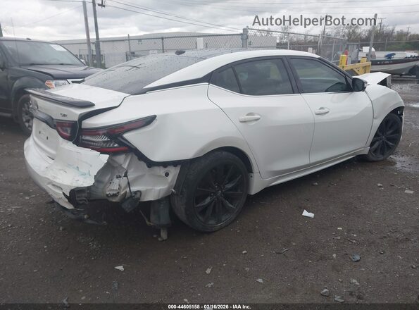 1N4AA6EV3PC503562 2023 NISSAN MAXIMA SR Белый Задняя правая четверть
