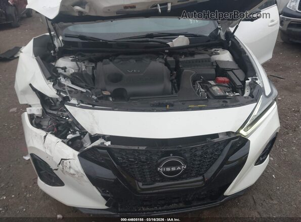 1N4AA6EV3PC503562 2023 NISSAN MAXIMA SR Белый Вид сзади