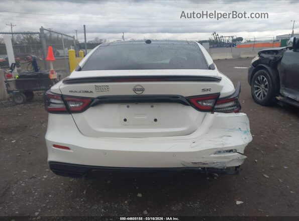 1N4AA6EV3PC503562 2023 NISSAN MAXIMA SR Белый 