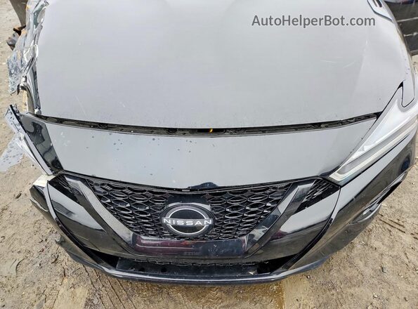 1N4AA6EV6PC507203 2023 NISSAN MAXIMA Черный Вид задней части салона
