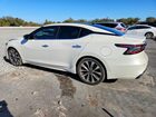 2023 Nissan Maxima Platinum Белый vin: 1N4AA6FV1PC507026