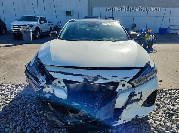 1N4AA6FV1PC507026 2023 NISSAN MAXIMA PLATINUM Белый Вид спереди