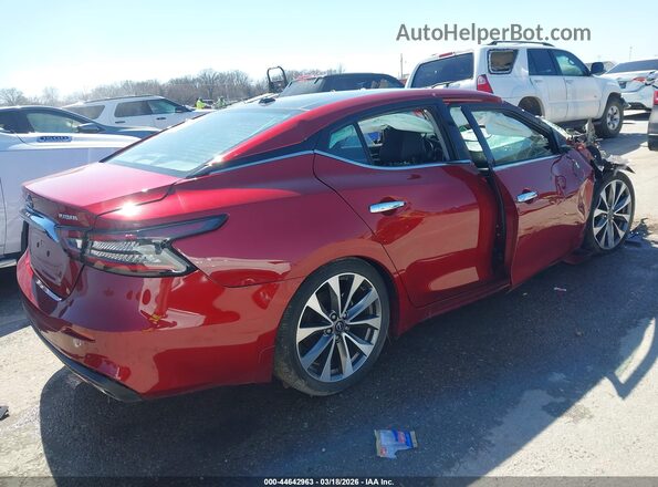 1N4AA6FV9PC505959 2023 NISSAN MAXIMA PLATINUM Red Tył prawy